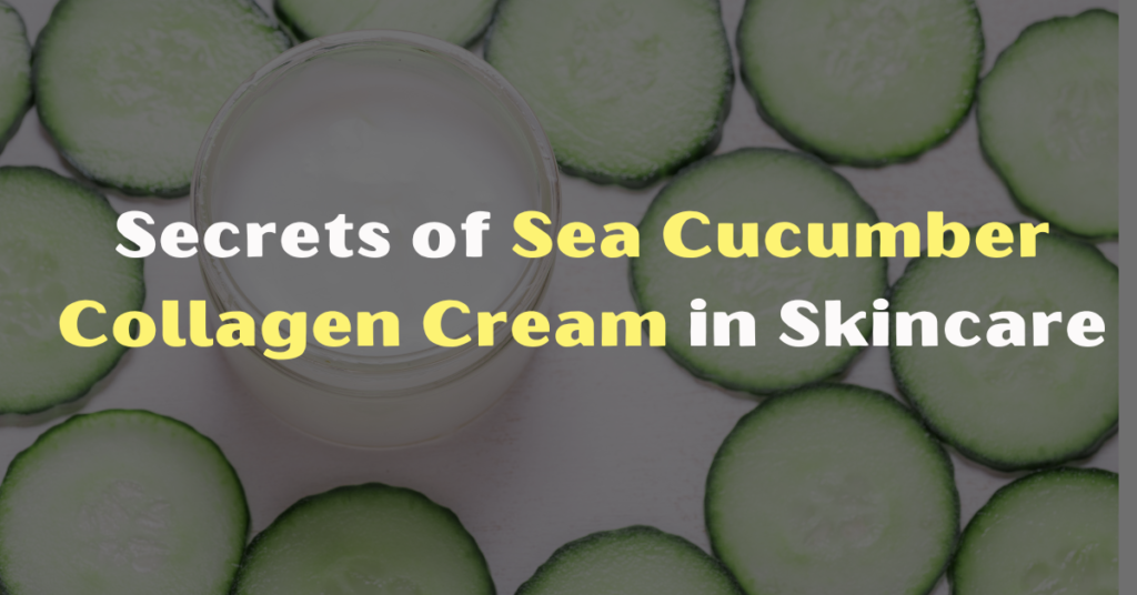 Secrets of Sea Cucumber Collagen Cream in Skincare