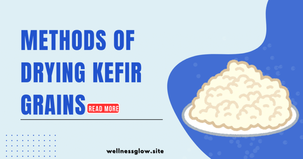 Methods of Drying Kefir Grains