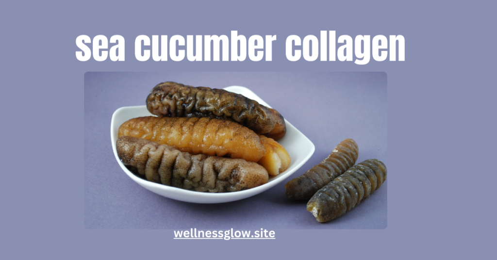 sea cucumber collagen