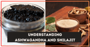 Ashwagandha and Shilajit for Bodybuilding