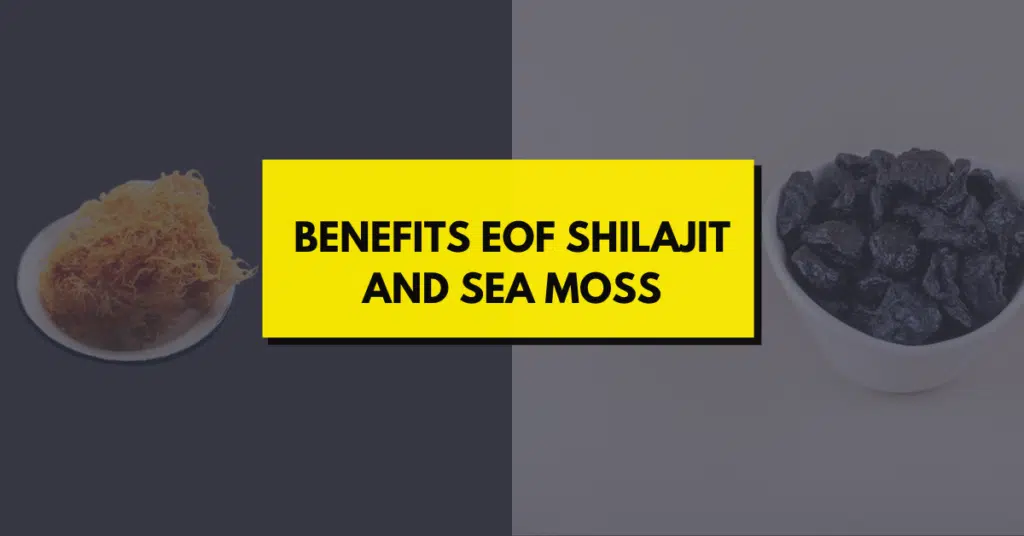 Benefits eof Shilajit and Sea Moss