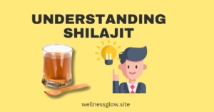 Understanding Shilajit