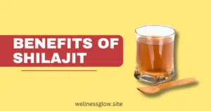 Benefits of Shilajit