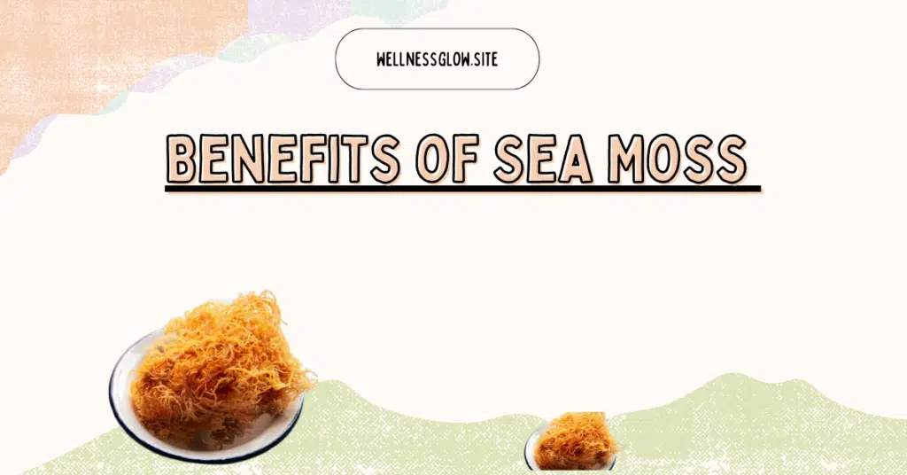 Benefits of Sea Moss