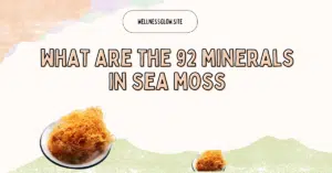 what are the 92 minerals in sea moss