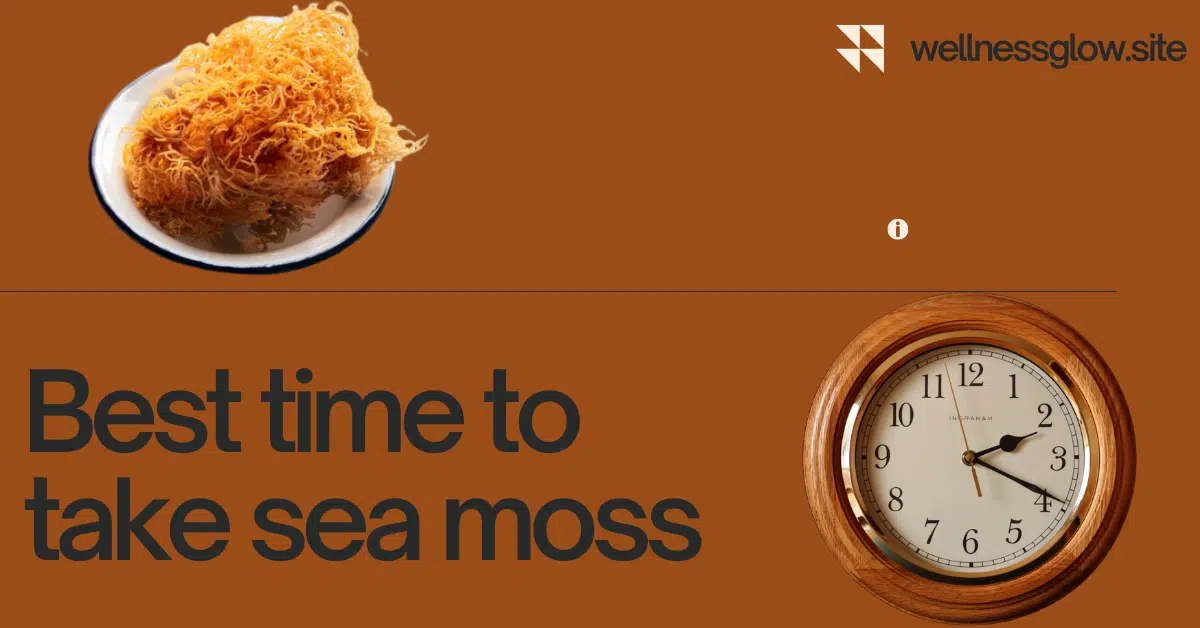 Best time to take sea moss